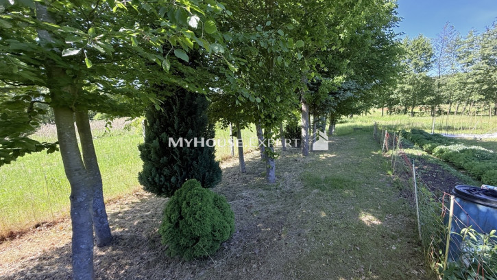 Dom Sprzedaż Przyłęg 19